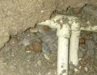 高碑店市卫生间测漏