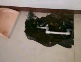 高碑店市卫生间测漏水多少钱